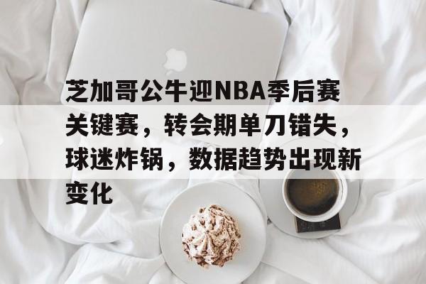 Kaiyun体育App下载-关于芝加哥公牛迎NBA季后赛关键赛，转会期单刀错失，球迷炸锅，数据趋势出现新变化的信息